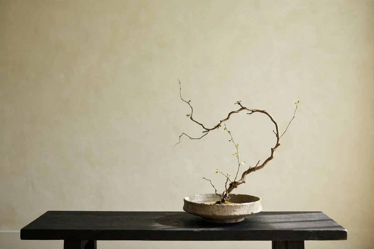 Minimalist ikebana arrangement with single sculptural stem in ceramic vessel